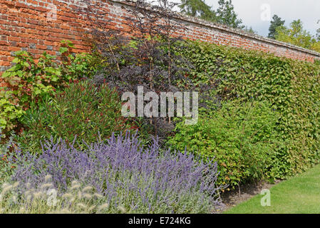 Jardin clos victorien en automne avec vignes et plantes vivaces Banque D'Images