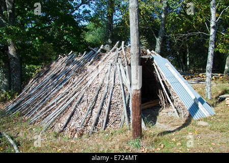 Journal historique vieille cabane dans la forêt pour l'utilisation d'arrière-plan Banque D'Images