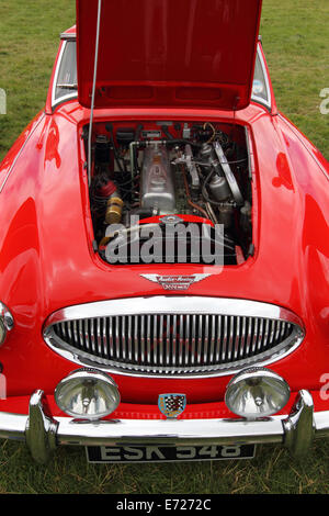 1962 Austin Healey 3000 mkII Banque D'Images