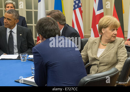 Newport, Pays de Galles, Royaume-Uni. 16Th Jun 2014. Newport, Grande-Bretagne. 08Th Nov, 2014. Le président américain Barack Obama (L-R), le premier ministre britannique David Cameron, la chancelière allemande Angela Merkel (CDU) et le premier ministre Italien Matteo Renzi répondre à Newport, Grande-Bretagne, 04 septembre 2014. Le chef d'Etats et de gouvernements de la tête de répondre à l'Otan pour un sommet de deux jours au Pays de Galles. Centre de discussion est la relation avec la Russie. Dpa : Crédit photo alliance/Alamy Live News Banque D'Images