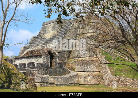 Sur l'ancien modèle restauré ville maya de Altun ha près de Belize City. Banque D'Images