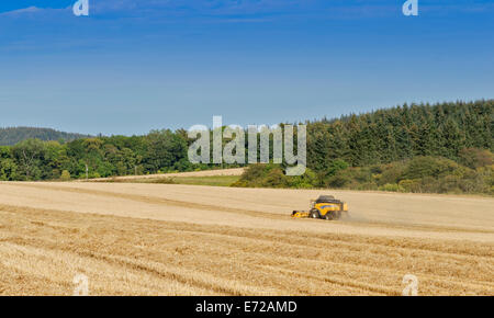 Moissonneuse-batteuse, dans l'ABERDEENSHIRE EN ÉCOSSE DANS UN CHAMP D'ORGE AVEC LA CHALEUR ET LA POUSSIÈRE Banque D'Images