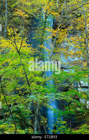 Couleurs d'automne de la rivière oirase, situé à la préfecture d'Aomori au Japon Banque D'Images