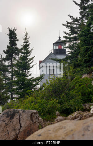 Bass Harbor Head Lighthouse, l'Acadia National Park, Mount Desert Island, Maine, Maine. Banque D'Images