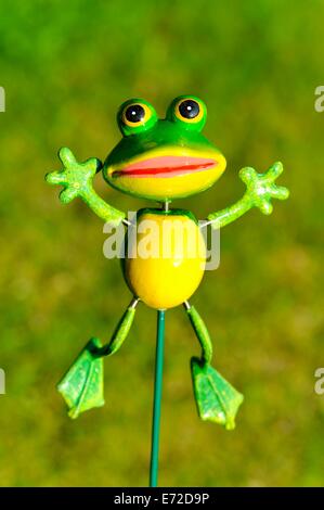 Une grenouille verte sur un jardin stick Banque D'Images