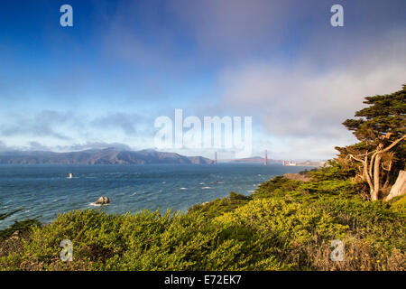 Golden Gate Bridge visibles de Lands End à San Francisco, Californie, USA. Banque D'Images