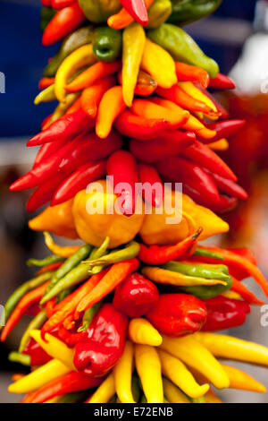 L'image colorée de grappes de piments accroché sur un étal en avant du Pike Place Market, Seattle Banque D'Images