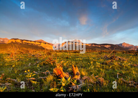 Feux de Blackleaf Sunrise Canyon et Mont Frazier le long de la montagne rocheuse, Lewis and Clark National Forest, Montana, USA. Banque D'Images