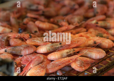 Crevettes fumées fraîchement de Åstols Rökeri ou smokehouse sur l'île d'Åstol, Bohuslän, Västra Götaland, en Suède. Banque D'Images