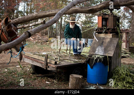 Manning un moulin à cheval dans l'étang boueux, une communauté agricole mennonite dans les collines du Tennessee Cumberlands, réputée pour la Banque D'Images