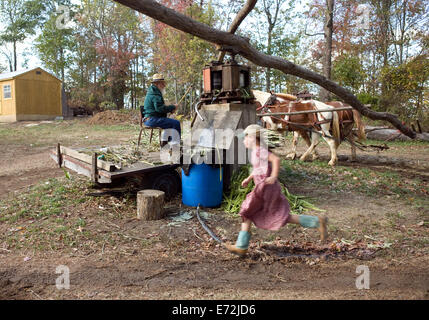 Manning un moulin à cheval dans l'étang boueux, une communauté agricole mennonite dans les collines du Tennessee Cumberlands, réputée pour la Banque D'Images