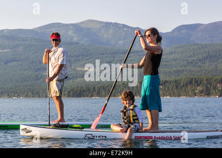 Standup paddle boards avec la famille à Whitefish Lake State Park, Montana, USA (MR). Banque D'Images