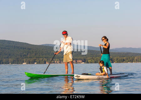 Standup paddle boards avec la famille à Whitefish Lake State Park, Montana, USA (MR). Banque D'Images