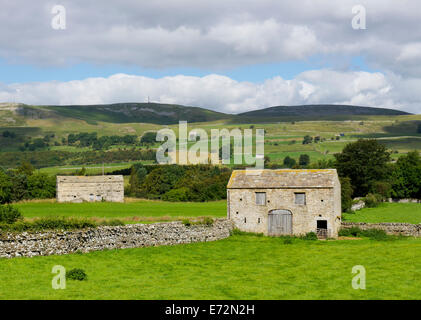 Domaine des granges près du village de Aysgarth, Wensleydale, Yorkshire Dales National Park, North Yorkshire, England UK Banque D'Images