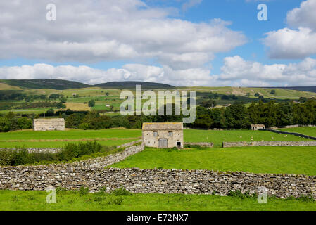 Domaine des granges près du village de Aysgarth, Wensleydale, Yorkshire Dales National Park, North Yorkshire, England UK Banque D'Images