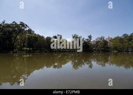 Parque da Aclimacao, l'un des plus beaux parcs et bien connu dans le centre-ville de Sao Paulo, Brésil Banque D'Images