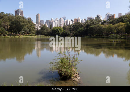 Parque da Aclimacao, l'un des plus beaux parcs et bien connu dans le centre-ville de Sao Paulo, Brésil Banque D'Images