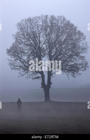 Femme seule quelque part dans les plaines de Kozani, en Macédoine, en Grèce. Banque D'Images