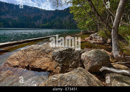 Black Lake glaciaire entourée par la forêt en Bohême du Sud Banque D'Images