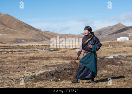 La Chine, le Tibet, l'agriculture, jeune femme d'une famille nomade sur un pâturage de montagne. Banque D'Images