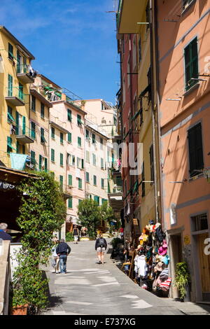 Manarola, Riomaggiore, Cinque Terre, UNESCO World Heritage Site, Ligurie, Italie, Europe Banque D'Images