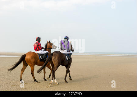 Laytown Strand Races, Laytown County Meath, en Irlande. Le 4 septembre, 2014. Laytown races occupe une place unique dans le calendrier de course irlandais comme c'est le seul événement de course courir sur une plage en vertu des Règles sur les courses.Laytown strand races ont été en existence pendant cent quarante ans.Sur la photo, les chevaux se préparer pour la course à réclamer à l'échelle nationale des Marquises (16:10).Photo:Barry Cronin/Alamy News Banque D'Images