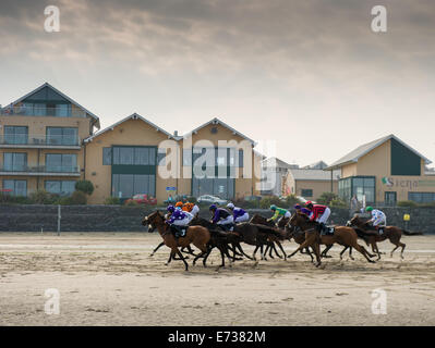 Laytown Strand Races, Laytown County Meath, en Irlande. Le 4 septembre, 2014. Laytown races occupe une place unique dans le calendrier de course irlandais comme c'est le seul événement de course courir sur une plage en vertu des Règles sur les courses.Laytown strand races ont été en existence pendant cent quarante ans.Les chevaux qui courent dans la course à réclamer à l'échelle nationale des Marquises (16:10).Photo:Barry Cronin/Alamy News Banque D'Images