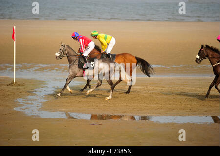 Laytown Strand Races, Laytown County Meath, en Irlande. Le 4 septembre, 2014. Laytown races occupe une place unique dans le calendrier de course irlandais comme c'est le seul événement de course courir sur une plage en vertu des Règles sur les courses.Laytown strand races ont été en existence pendant cent quarante ans.Sur la photo, les jockeys et les chevaux la préparation de la Société d'appréciation Matthews Barry (Q.R.) Handicap (16:45).Photo:Barry Cronin/Alamy News Banque D'Images