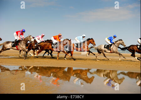 Laytown Strand Races, Laytown County Meath, en Irlande. Le 4 septembre, 2014. Laytown races occupe une place unique dans le calendrier de course irlandais comme c'est le seul événement de course courir sur une plage en vertu des Règles sur les courses.Laytown strand races ont été en existence pendant cent quarante ans.Sur la photo, les jockeys et les chevaux qui courent dans la société Barry Matthews Satisfaction (Q.R.) Handicap (16:45).Photo:Barry Cronin/Alamy News Banque D'Images