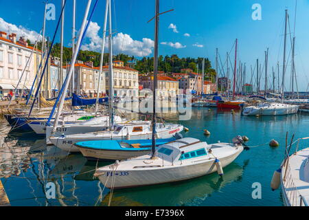 Vieille Ville, Port de Piran, Primorska, Istrie slovène, la Slovénie, l'Europe Banque D'Images