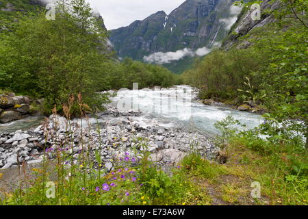 Roaring river, de fleurs sauvages et les montagnes, près de la vallée du Glacier Lodal Kjenndalen, Loen, Norway, Scandinavia, Europe Banque D'Images