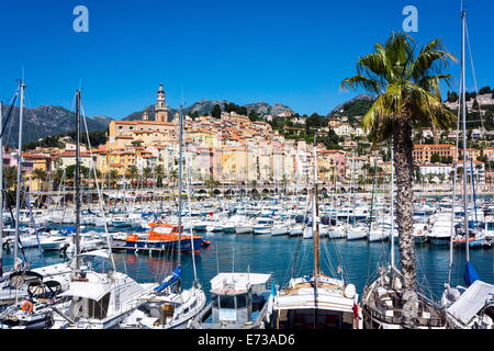 Vieille ville et du port de plaisance, Menton, Côte d'Azur, French Riviera, Provence, France, Europe, Méditerranée Banque D'Images