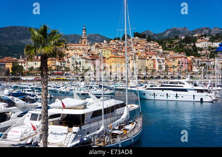 Vieille ville et du port de plaisance, Menton, Côte d'Azur, French Riviera, Provence, France, Europe, Méditerranée Banque D'Images