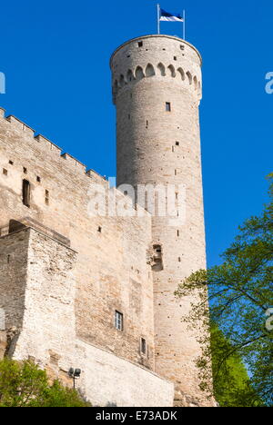 La tour Pikk Hermann, partie de la château de Toompea, UNESCO World Heritage Site, Tallinn, Estonie, pays Baltes, Europe Banque D'Images