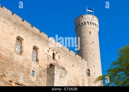 La tour Pikk Hermann, partie de la château de Toompea, UNESCO World Heritage Site, Tallinn, Estonie, pays Baltes, Europe Banque D'Images