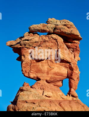 Formation de grès, Coyote Buttes Wilderness, Vermilion Cliffs National Monument, Arizona, États-Unis d'Amérique Banque D'Images