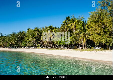 Plage de sable blanc, Nanuya Lailai island, le blue lagoon, Yasawas, Fidji, Pacifique Sud, du Pacifique Banque D'Images