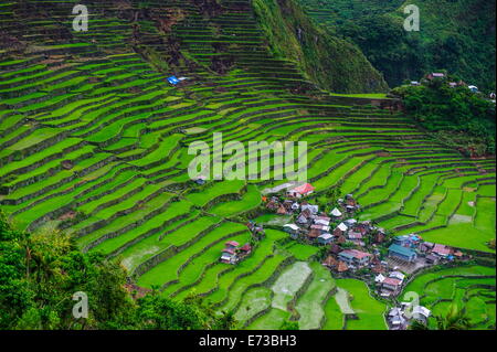 Batad rizières en terrasses, au patrimoine mondial de l'UNESCO de Banaue, Luzon, Philippines, Asie du Sud, Asie Banque D'Images