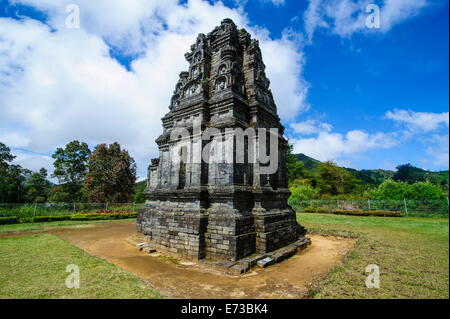 Complexe du temple hindou Dieng, Dieng Plateau, Java, Indonésie, Asie du Sud, Asie Banque D'Images