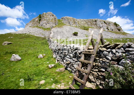 Robin surveillants cicatrice dans Crummack Dale, Yorkshire Dales, Yorkshire, Angleterre, Royaume-Uni, Europe Banque D'Images