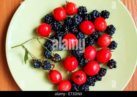 L'aubépine et blackberry sur la plaque verte, la récolte de petits fruits Banque D'Images