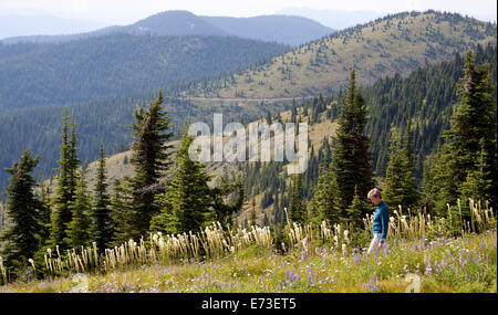 Une femme marche à travers les fleurs sauvages dans la région de Whitefish, Montana. Banque D'Images