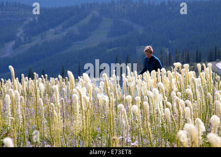 Une femme marche à travers les fleurs sauvages dans la région de Whitefish, Montana. Banque D'Images