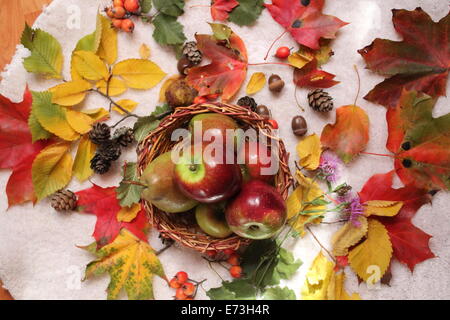 Pommes rouges dans le panier sur le feuillage d'automne gaiement, les glands, cônes de sapin, baies composition pour décoration sur les jours fériés Banque D'Images
