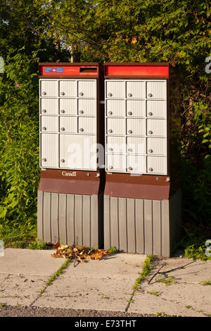 Les boîtes de messagerie communautaire (BGT) à Whitby, Ontario, Canada. Banque D'Images