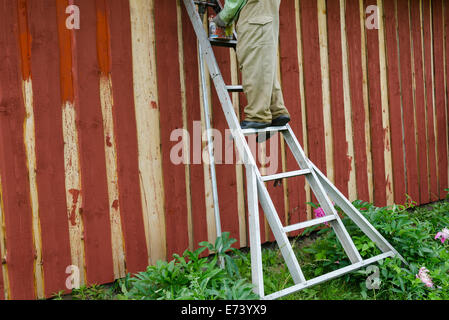 Housepainter homme sur l'échelle en bois peinture jardin rural chambre mur avec pinceau brosse. Banque D'Images