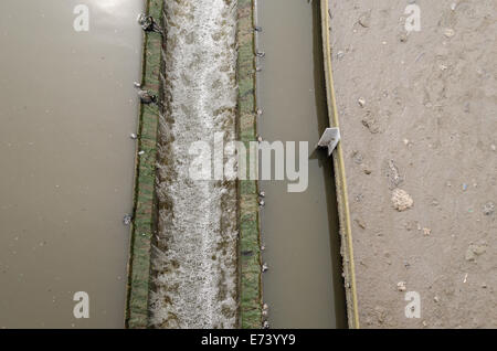 Libre à eaux usées Eaux usées colon radial usine de traitement de l'eau. Banque D'Images