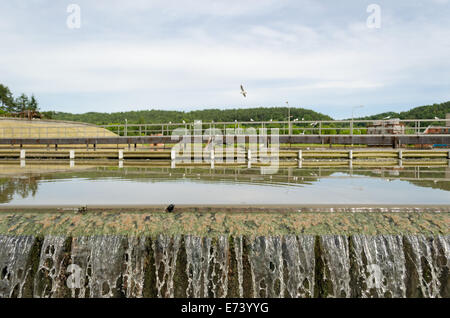 Libre de l'écoulement de l'eau étape sédimentation filtration dans le traitement de l'eau matériel d'usine. Des oiseaux volent. Banque D'Images