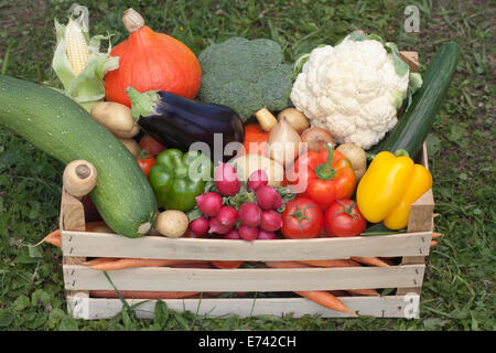 Des légumes frais comme les tomates, pommes de terre, le paprika, le brocoli et les carottes dans une boîte en bois Banque D'Images