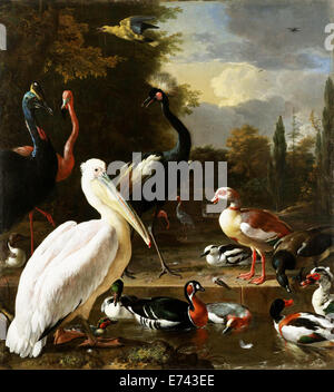 Pélican et autres oiseaux près d'un bassin connu comme 'la plume Flottante' - par Melchior d'Hondecoeter 1680 Banque D'Images